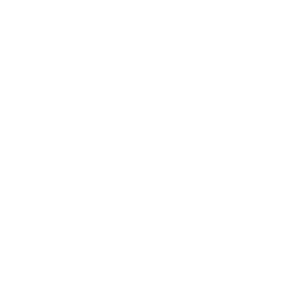 The SLEEQUE
